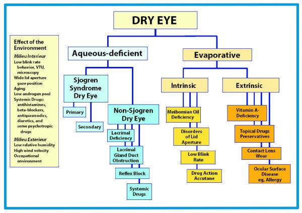 Types and Causes of Dry Eye Syndrome